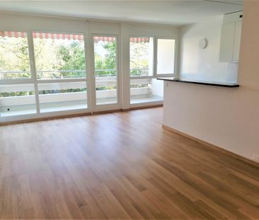 Quartier de la Gradelle - Chêne-Bougeries - Foto 1