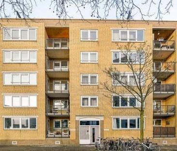 Vrolikstraat 0ong, 1091 VG Amsterdam, Nederland - Foto 2