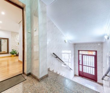 Planta baja de alquiler en Avenida Alcoy, Campoamor - Photo 5