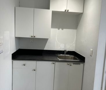 Appartement à louer - Montréal (Rosemont/La Petite-Patrie) (La Peti... - Photo 3