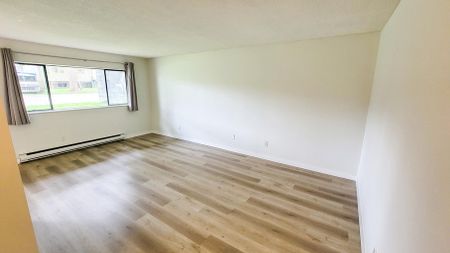 Pinetree Apartments - Photo 4