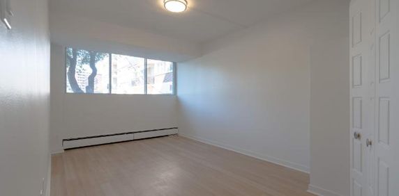 1 CH - 1 SDB - St-Laurent - $1,395 /mo - Photo 2
