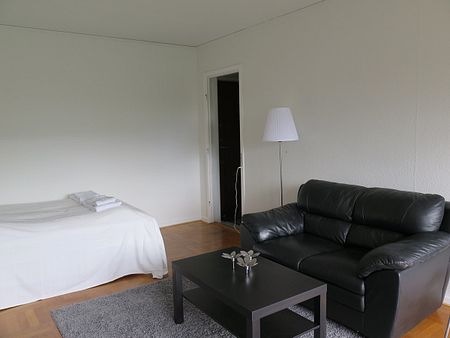 45 m² møbleret lejlighed Glostrup københavn - Photo 4