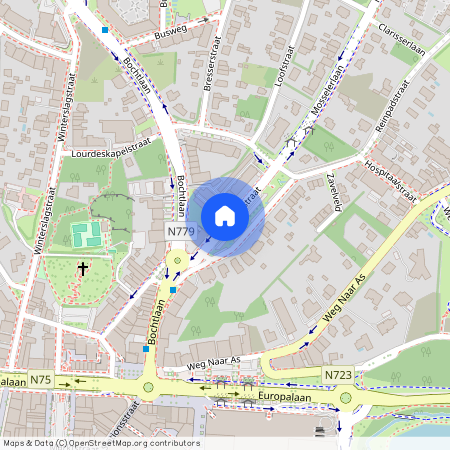 Reinpadstraat, 3600 Genk