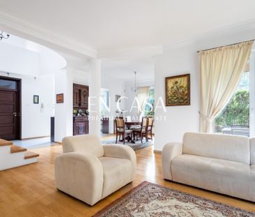 Grodziski, Milanówek, Wielki Kąt - Photo 4