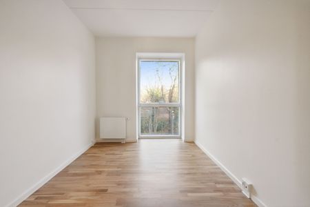 Hollænderen 2, 3. TV - Photo 3