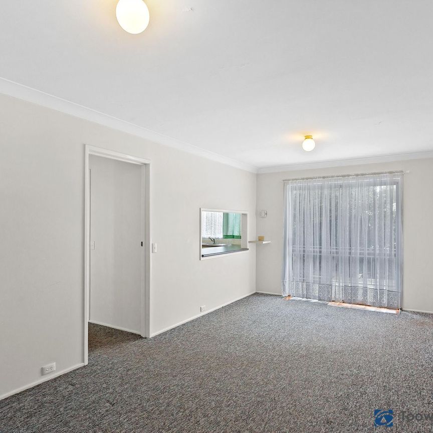 East Toowoomba living at its finest! Spacious, low maintenance unit within walking distance of the CBD! - Photo 1