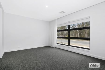Modern 4-Bedroom Family Home - all the comforts and plenty of shine - Photo 3