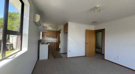 CENTRAL GREYMOUTH - RENOVATED UNIT - Photo 5