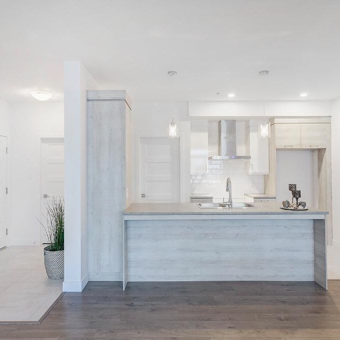 MAGNIFIQUES 4 1/2 - LIBRE IMMÉDIATEMENT OU JUILLET - ASCENSEUR - Photo 1