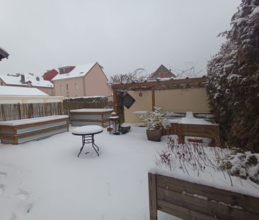 Location Appartement 2 pièces 31m² BELFORT 90000 - Photo 5