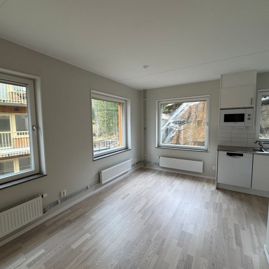 Klättergatan 9 – 2 rok (1401) - Foto 1