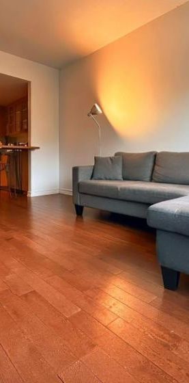 1 CH - 1 SDB - Montréal - $1,650 /mo - Photo 1