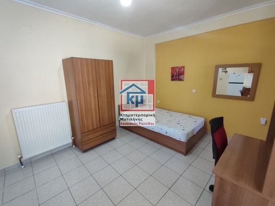 Διαμέρισμα για ενοικίαση Βουναράκι (Λέσβος - Μυτιλήνη) - Φωτογραφία 1