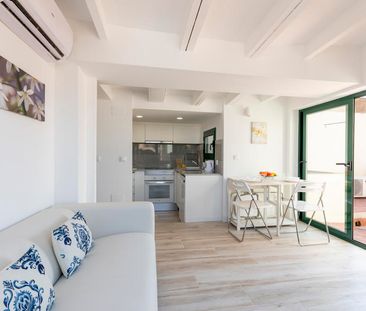 Penthouse with Private Terrace on Paseo del Born 24 - Photo 5