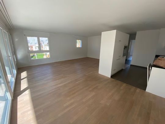 4.5 Zimmer, 105 m², 1. Stock - Foto 1