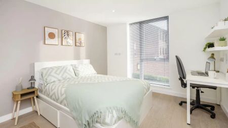 Premium Studio - Photo 5