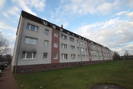 3-Zimmer-Wohnung im Dachgeschoß mit separater Küche und Dusche, renoviert, ab sofort - Photo 4