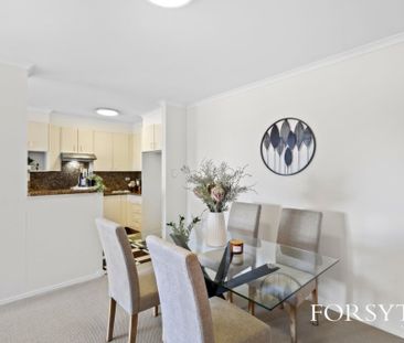 Sydney's Urban Oasis - Photo 3