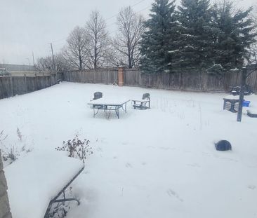 For Lease - 150 Twin Pines Crescent, Brampton, Ontario - Photo 5