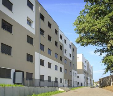 Appartement de 1.5 pièces à la Tour-de-Trême ! - Photo 6