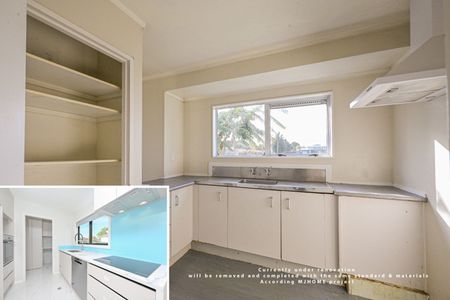 Newly Renovated Family Living in Prime Location - Built by MJ HOME Group - Photo 4