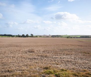 3 Easter Braikie Arbroath, Angus, DD11 4RY - Photo 6