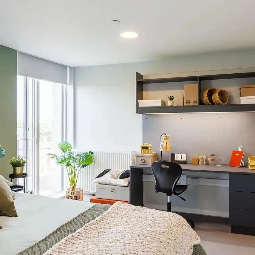 Deluxe Studio - Photo 1