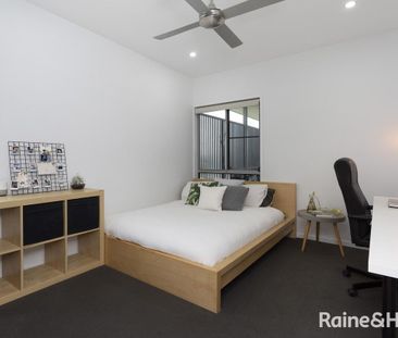 Large Modern Elevated Apartment with Spectacular Views! - Photo 4