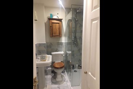 1 Bed Flat, Tonsley Heights, SW18 - Photo 5