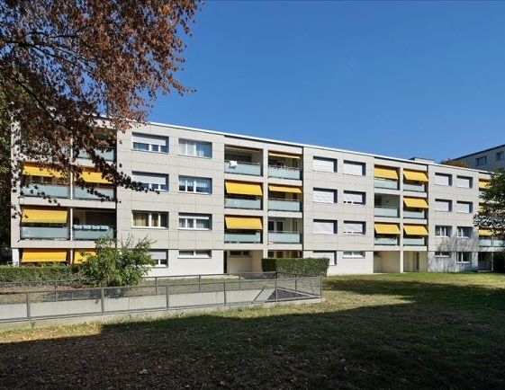 Living in the beautiful Birsfelden - Photo 1