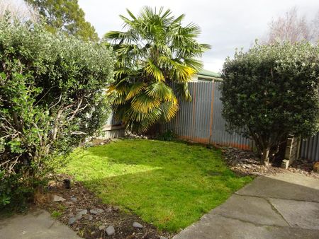 Williams Street , Mahora - Photo 4