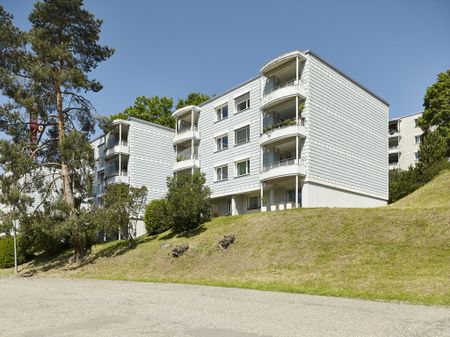 Sonnige, ruhige Lage in schöner Überbauung - Photo 3