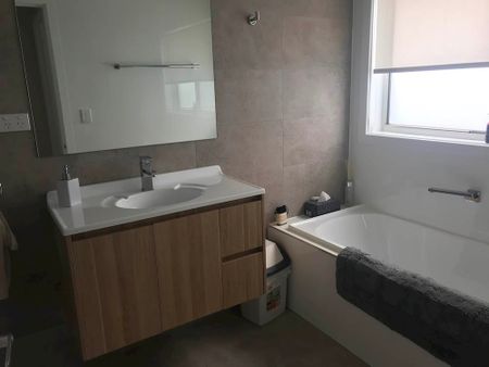 Spring Farm - Photo 5