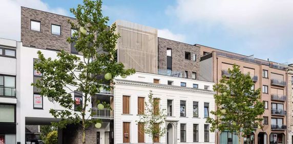 TE HUUR, Deinze, Markt - Foto 2