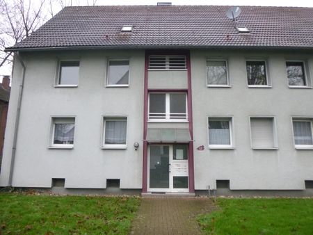 Charmante 2-Zimmer-Etagenwohnung in Gelsenkirchen  naturnah und modernisiert - Photo 4