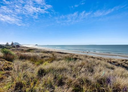 Mount Maunganui | - Photo 5