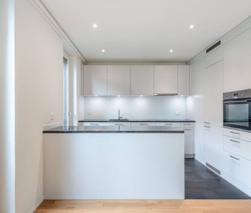 2.5 Zimmer, 53 m², 2. Stock - Photo 3