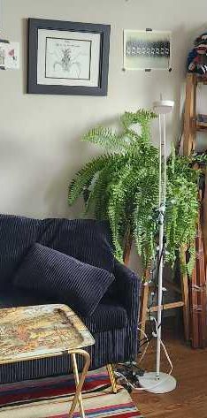 Studio à louer à Sherbrooke - Cession de bail - août 2026 - Photo 1