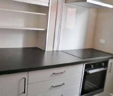 Spacious One-Bedroom Living Close to the Octagon - Photo 4