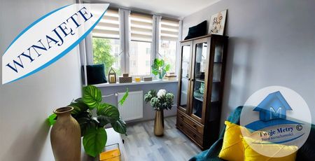 Włocławek Mieszkanie na wynajem - Zdjęcie 2