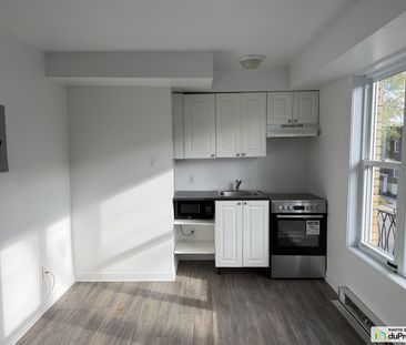 5915, Avenue des Érables, Rosemont / La Petite Patrie à louer - Photo 4