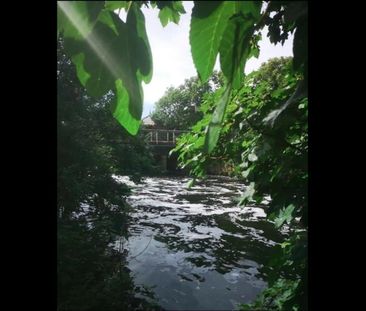 1 Bed Flat, London, E5 - Photo 6