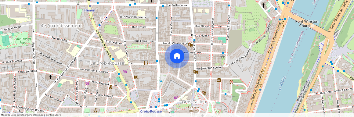5 RUE DUMENGE, 4EME, Lyon