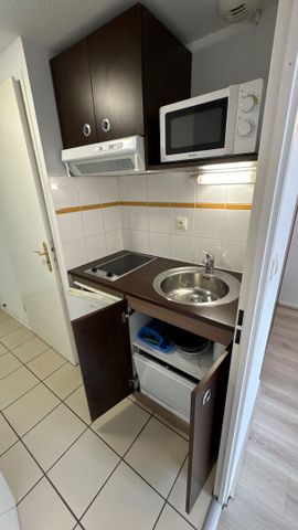 HAUT d'IDRON, Au Calme, Studio Meublé en Résidence récente avec climatisation et parking privé, - Photo 5