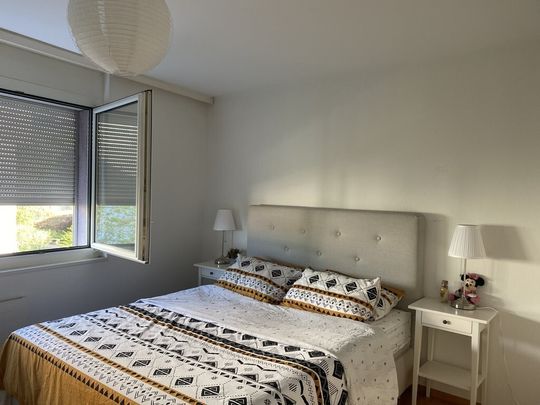 Joli appartement de 2 pièces dans un quartier proche de la nature - Foto 1