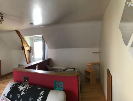 PACE, rue du Docteur Léon, Type 1 MEUBLE, 1er étage, 31m², comprenant: entrée avec placard, piè... - Photo 2