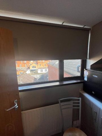 47 Malone Avenue, Belfast, BT9 6ET - Photo 5