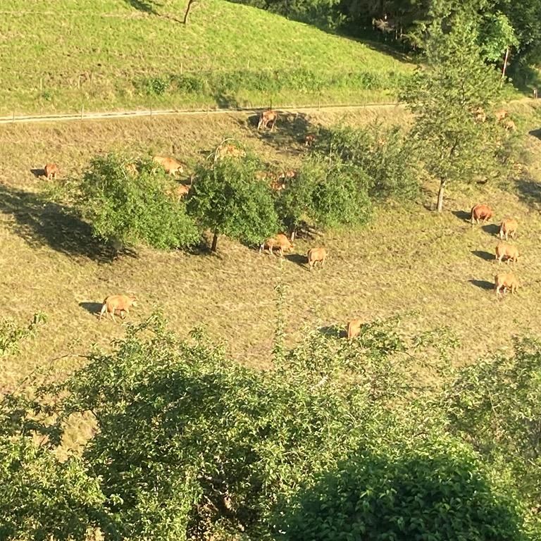 St. Ulrich 34, 79283 Bollschweil - Foto 1