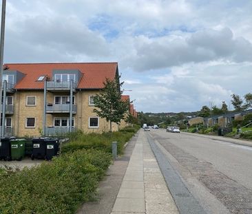 7800, Skive - Foto 3